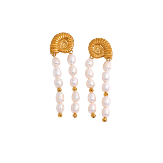 Gold shell earrings